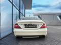 Mercedes-Benz CLS 350 CLS 350 V6/AMG/BIANCO PERLATO/AIR MATIC/CERCHI19!! bijela - thumbnail 4