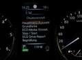 Nissan Qashqai 1,6 dCi 360° Aut.*PANO*SHZ* Grau - thumbnail 33