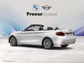 BMW 218 i Cabrio HIFI LENKRADHZ LED SHZ TEMPOMAT DAB Weiß - thumbnail 6