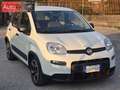 Fiat Panda 1.0 firefly hybrid City Life s&s 70cv Blanc - thumbnail 3
