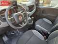 Fiat Panda 1.0 firefly hybrid City Life s&s 70cv Blanc - thumbnail 6
