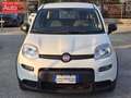 Fiat Panda 1.0 firefly hybrid City Life s&s 70cv Blanc - thumbnail 2