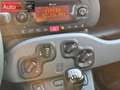 Fiat Panda 1.0 firefly hybrid City Life s&s 70cv Blanc - thumbnail 10