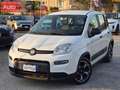 Fiat Panda 1.0 firefly hybrid City Life s&s 70cv Blanc - thumbnail 1