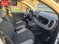 Fiat Panda 1.0 firefly hybrid City Life s&s 70cv Blanc - thumbnail 5