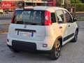 Fiat Panda 1.0 firefly hybrid City Life s&s 70cv Blanc - thumbnail 13