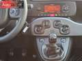 Fiat Panda 1.0 firefly hybrid City Life s&s 70cv Blanc - thumbnail 7