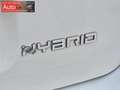 Fiat Panda 1.0 firefly hybrid City Life s&s 70cv Blanc - thumbnail 17