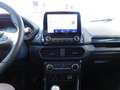 Ford EcoSport 1.0 EcoBoost ST-Line 125 CV Grigio - thumbnail 11