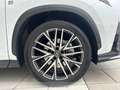 Lexus NX 450h+ 450h+ 2.5 phev f-sport 4wd 309cv e-cvt Weiß - thumbnail 4