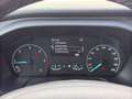 Ford Tourneo Custom 2.0 TDCI Mild-Hybrid 320 L1 Active AHK/STH/Kamera Schwarz - thumbnail 31