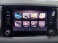 Skoda Karoq 2.0TDI AdBlue Ambition 4x4 DSG 110kW Blanco - thumbnail 25