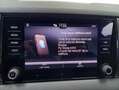 Skoda Karoq 2.0TDI AdBlue Ambition 4x4 DSG 110kW Blanco - thumbnail 23