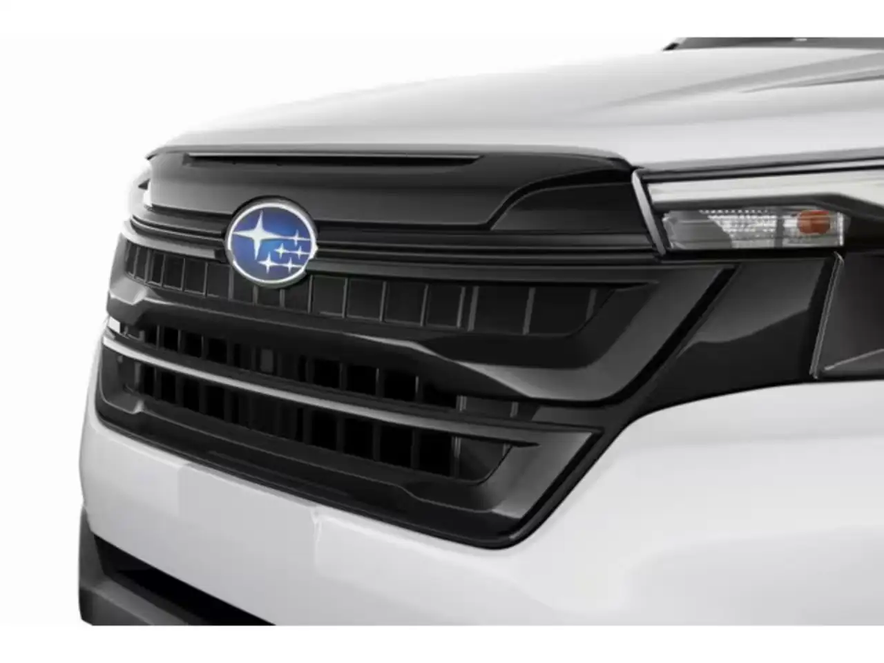 Subaru Forester fotografie Subaru Forester