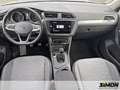 Volkswagen Tiguan 1.5 TSI Life 150PS / AHZV, Standheizung, Navi, WKR Gris - thumbnail 8