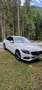 Mercedes-Benz C 220 (BlueTEC) d T 7G-TRONIC - thumbnail 10