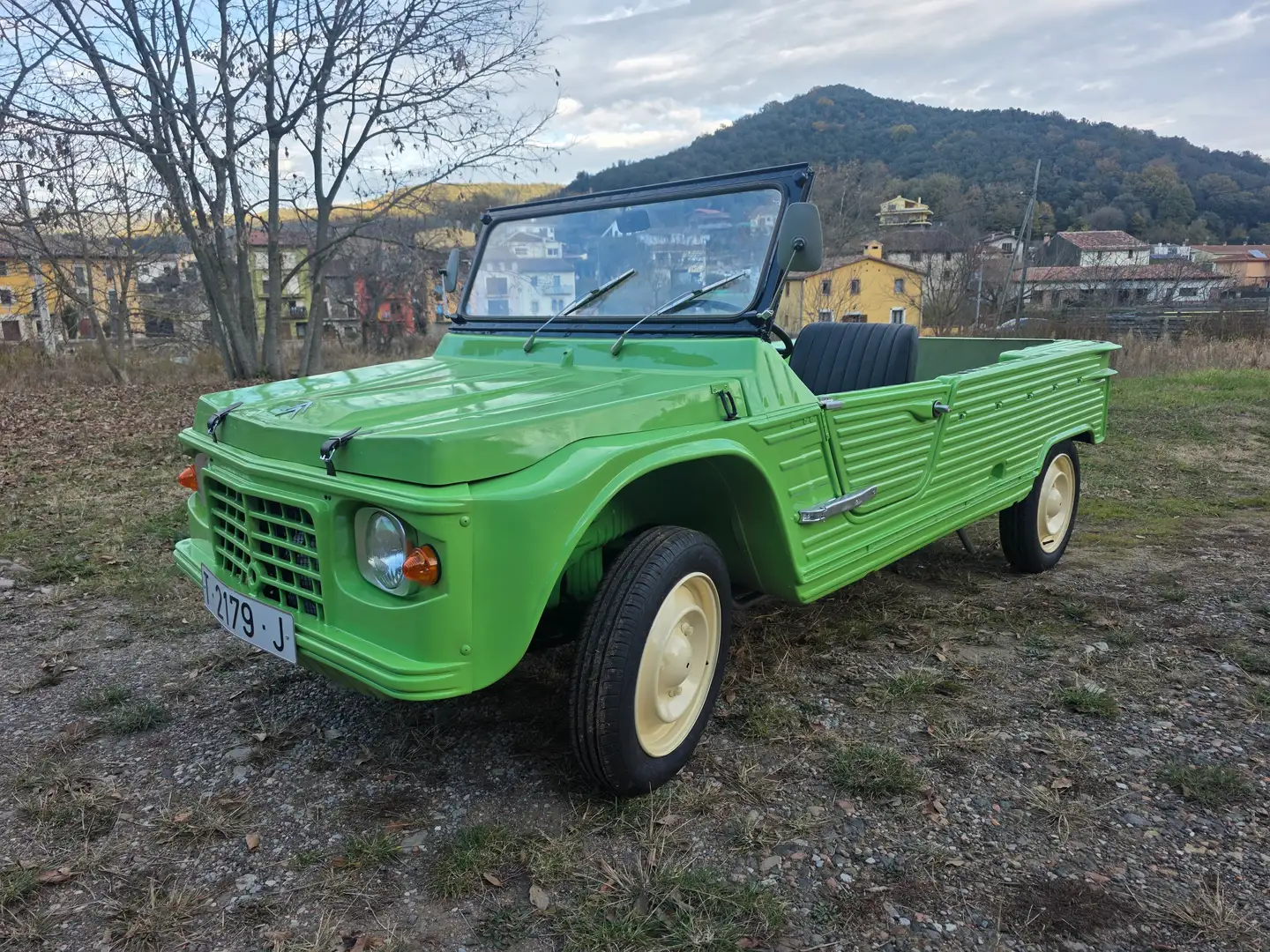 Citroen Méhari Verde - 1