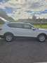 SEAT Tarraco Tarraco 2.0 TDI 150 ch Start/Stop DSG7 7 pl Style Business Blanc - thumbnail 13