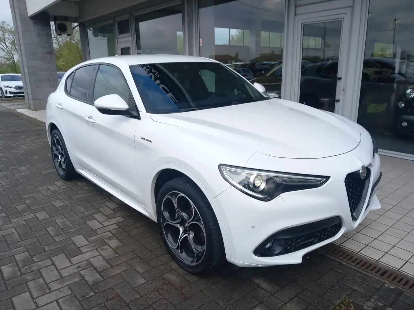 Alfa Romeo Stelvio 2,2 Jtd 210CV 4wd AT8 VELOCE Wit - 1