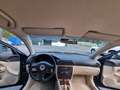 Volkswagen Passat PASSAT 1.9TDI *1.HAND*ROSTFREI*SAMMLERZUSTAND*S... Grün - thumbnail 22