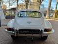 Jaguar E-Type 2+2 / Serie 1 1/2 Weiß - thumbnail 7