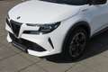 Alfa Romeo Junior Elettrica Speciale 54 kWh Sportpakket | Apple carp Blanc - thumbnail 16