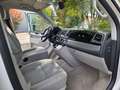 Volkswagen T6 California California Coast Edition 4Motion Weiß - thumbnail 3