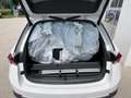 Skoda Octavia 4x4 SCOUT TDI DSG Weiß - thumbnail 6