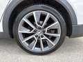 Skoda Octavia 4x4 SCOUT TDI DSG Weiß - thumbnail 15