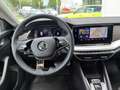 Skoda Octavia 4x4 SCOUT TDI DSG Weiß - thumbnail 11