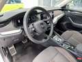 Skoda Octavia 4x4 SCOUT TDI DSG Weiß - thumbnail 8