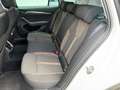 Skoda Octavia 4x4 SCOUT TDI DSG Weiß - thumbnail 10