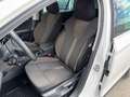 Skoda Octavia 4x4 SCOUT TDI DSG Weiß - thumbnail 9