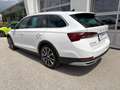 Skoda Octavia 4x4 SCOUT TDI DSG Weiß - thumbnail 5