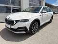 Skoda Octavia 4x4 SCOUT TDI DSG Weiß - thumbnail 1