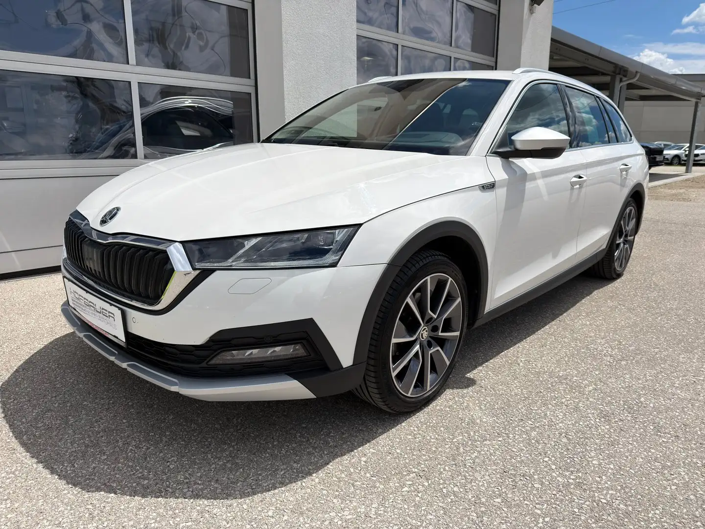 Skoda Octavia 4x4 SCOUT TDI DSG Weiß - 1