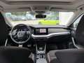 Skoda Octavia 4x4 SCOUT TDI DSG Weiß - thumbnail 12