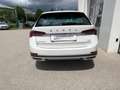 Skoda Octavia 4x4 SCOUT TDI DSG Weiß - thumbnail 4