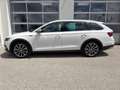 Skoda Octavia 4x4 SCOUT TDI DSG Weiß - thumbnail 3