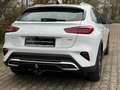 Kia XCeed 1.6 PHEV DCT Spirit |TECHNO|GLASDACH|AHK| Weiß - thumbnail 5