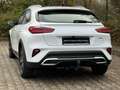 Kia XCeed 1.6 PHEV DCT Spirit |TECHNO|GLASDACH|AHK| Weiß - thumbnail 4