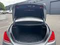 Mercedes-Benz S 350 350D 7-Gtronic Gris - thumbnail 21