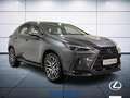 Lexus NX 200t 2.5 hybrid Luxury 4wd e-cvt Gris - thumbnail 4