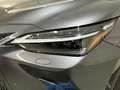 Lexus NX 200t 2.5 hybrid Luxury 4wd e-cvt Gris - thumbnail 10