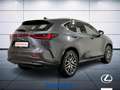 Lexus NX 200t 2.5 hybrid Luxury 4wd e-cvt Gris - thumbnail 6