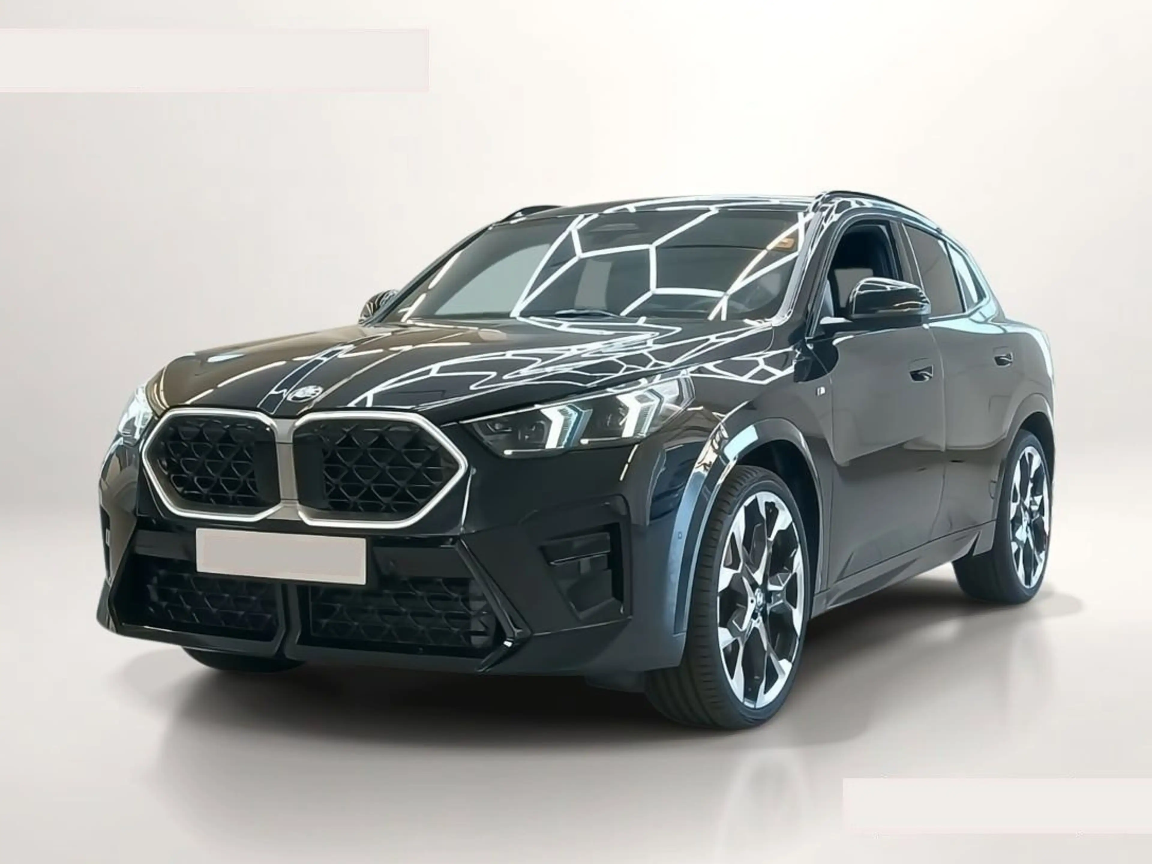 BMW X2 20xd M Sport ACC AHK H&K 360° Memory — photo 3