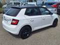 Skoda Fabia 1.0 MPI 60 ch Greentec Drive Blanc - thumbnail 4