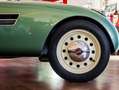 Fiat 500C Sport 750 “Casarotto” Verde - thumbnail 9