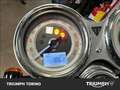 Triumph Thruxton RS Final Edition Grigio - thumbnail 4