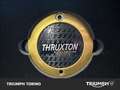 Triumph Thruxton RS Final Edition Grigio - thumbnail 5